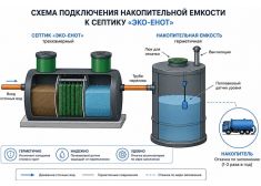 Эко-Енот Fintek 0.6